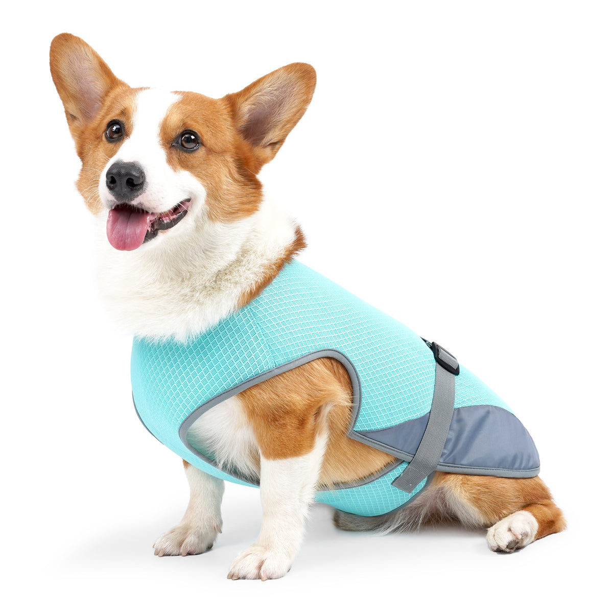 Kleding voor huisdieren, kleding voor honden, koelkleding voor huisdieren, benodigdheden voor huisdieren