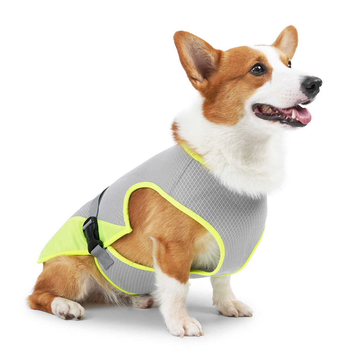 Kleding voor huisdieren, kleding voor honden, koelkleding voor huisdieren, benodigdheden voor huisdieren
