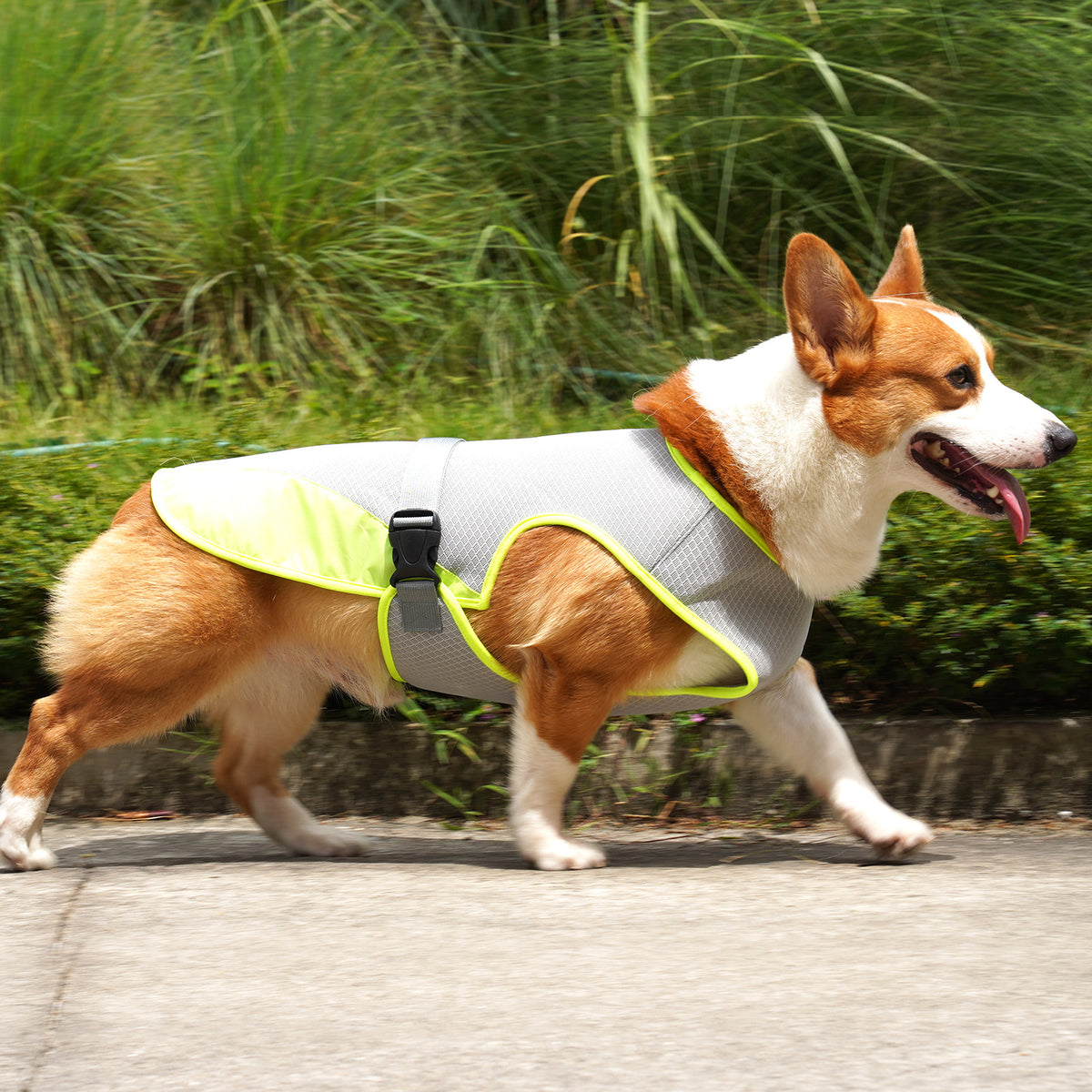 Kleding voor huisdieren, kleding voor honden, koelkleding voor huisdieren, benodigdheden voor huisdieren