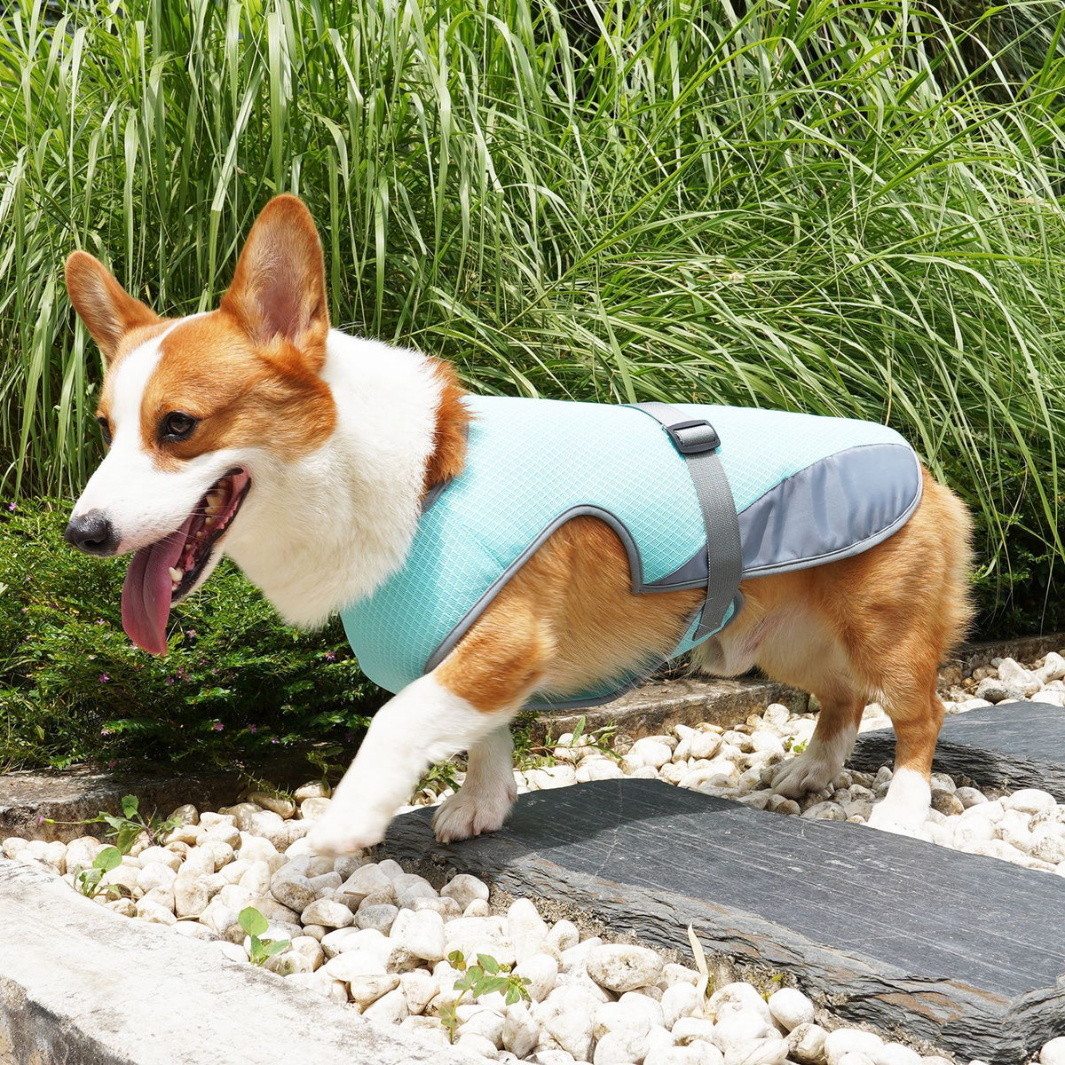 Kleding voor huisdieren, kleding voor honden, koelkleding voor huisdieren, benodigdheden voor huisdieren