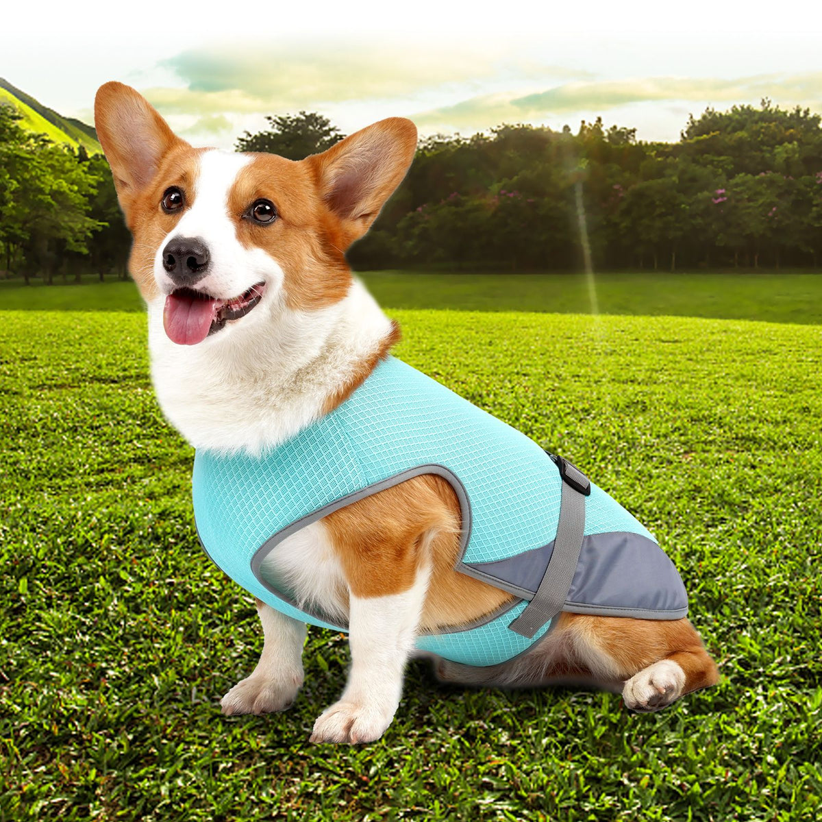 Kleding voor huisdieren, kleding voor honden, koelkleding voor huisdieren, benodigdheden voor huisdieren